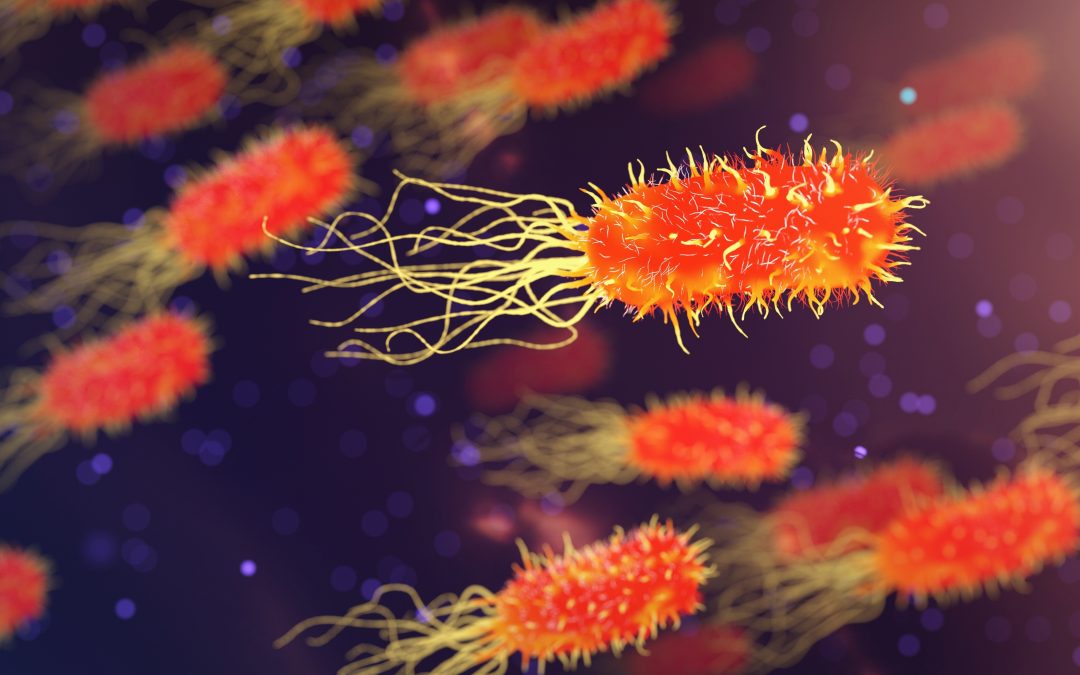 Science Cafe: Microbes on the Menu