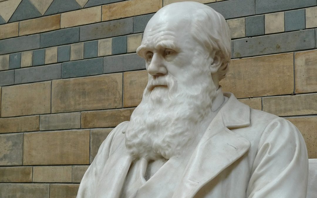 Darwin Day